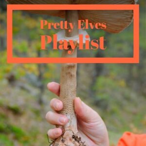 The Brooklyn Bridge 1