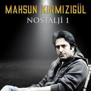 Mahsun Kırmızıgül 16