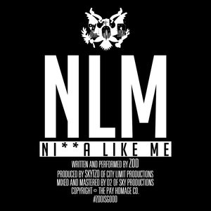 N***a Like Me