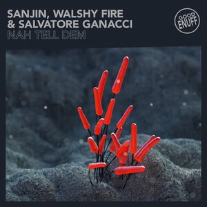 Walshy Fire 1