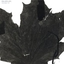 Mother's Little Soldier