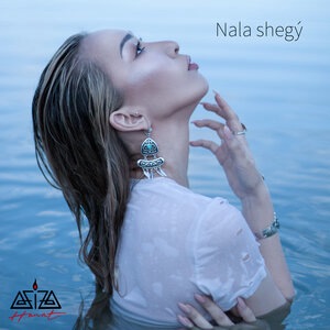 Nala Shegý