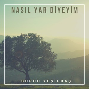 Nasıl Yar Diyeyim