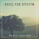 Nasıl Yar Diyeyim