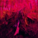 The Mind is Not Your Friend