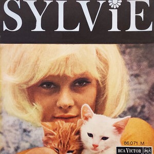 L'Ami Des Mauvais Jours