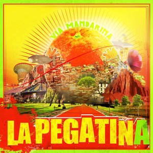 La Pegatina 7