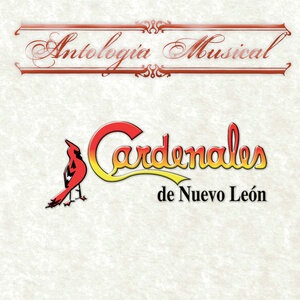 Cardenales de Nuevo Leon 1
