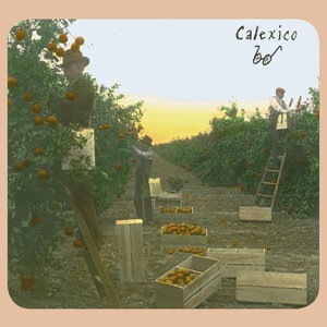 Calexico 17