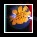 La Canción de Mi Vida