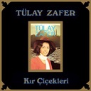 Kapıldım Gidiyorum