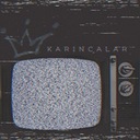 Karıncalar