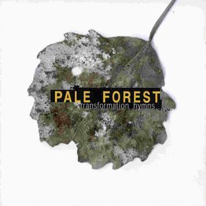 Pale Forest 4