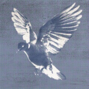 karma slash what i hope