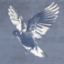 karma slash what i hope