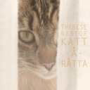 Katt Å Råtta