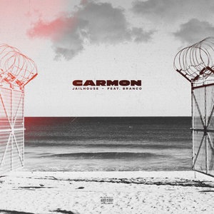 Carmon 1