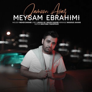 Meysam Ebrahimi 1