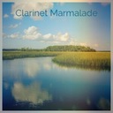 I Ain't Got Nobody (And Nobody Cares For Me)