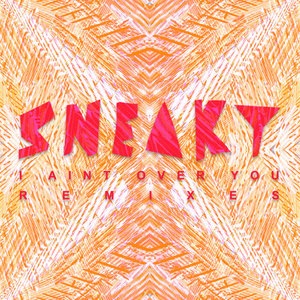 Sneaky Sound System 1