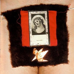 The Hidden Cameras 1