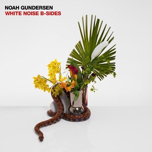 Noah Gundersen 11