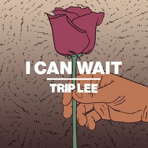 Trip Lee 1