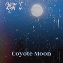 I Can't Be What You Want Me To Be