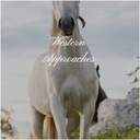 I Can't Believe That You're in Love with Me