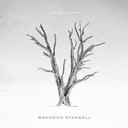 If I Never Loved You