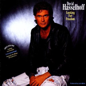 David Hasselhoff 11