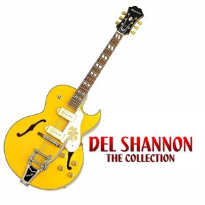 Del Shannon 29