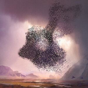 Who Gave Us a Mirror?