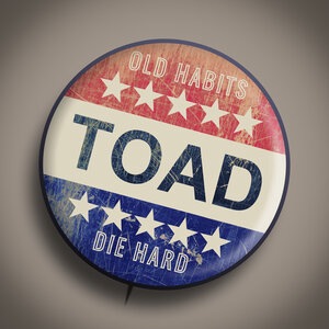 Toad The Wet Sprocket 15