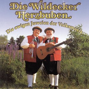 Die Wildecker Herzbuben 1