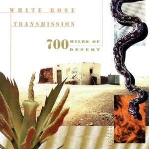 White Rose Transmission 1