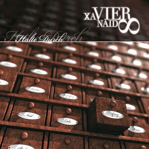 Xavier Naidoo 2