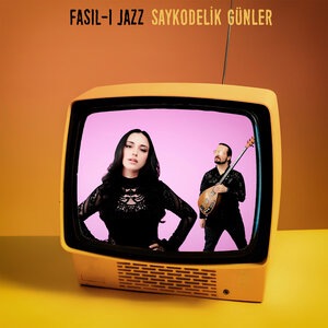 Gide Gide Bir Söğüde Dayandım