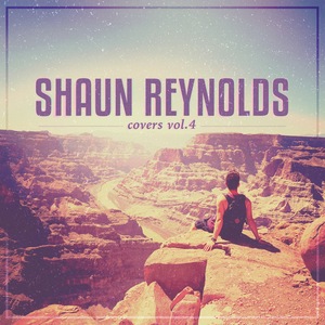 Shaun Reynolds 3