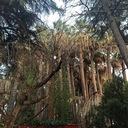 Bunca Şarkıdan Sonra