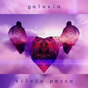 Silviu Pasca 2