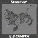 gameboy camera