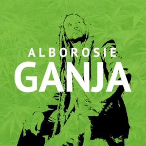 Alborosie 8