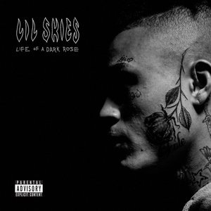 Lil Skies 15