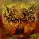 Corvus Corona (Part II)