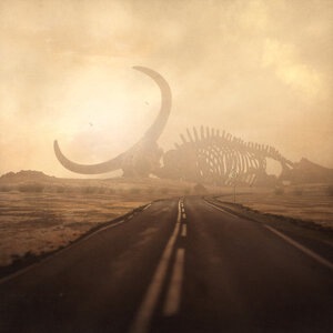 David Eugene Edwards 1