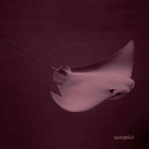 Is There Another Way Out