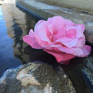 Never Let a Girl Fall in Love