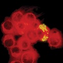 Past Present Future Told