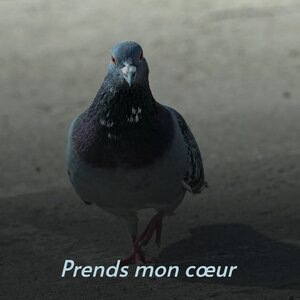 Prends Mon Cœur